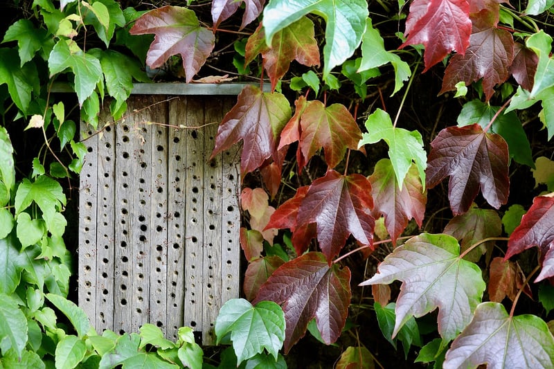 Insect Hotel